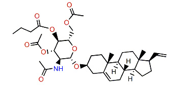 Muricin 3